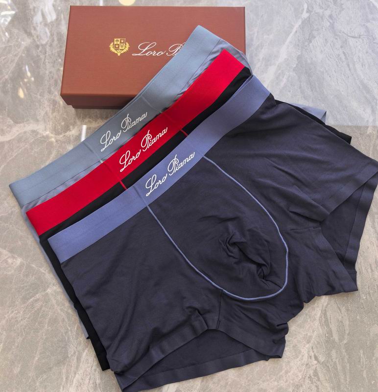 LP boxer L-4XL 062208